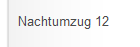 Nachtumzug 12