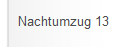 Nachtumzug 13