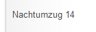 Nachtumzug 14