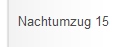 Nachtumzug 15