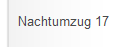 Nachtumzug 17