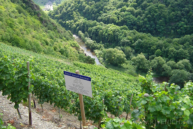 Ausflug 2008 – Bild 21
