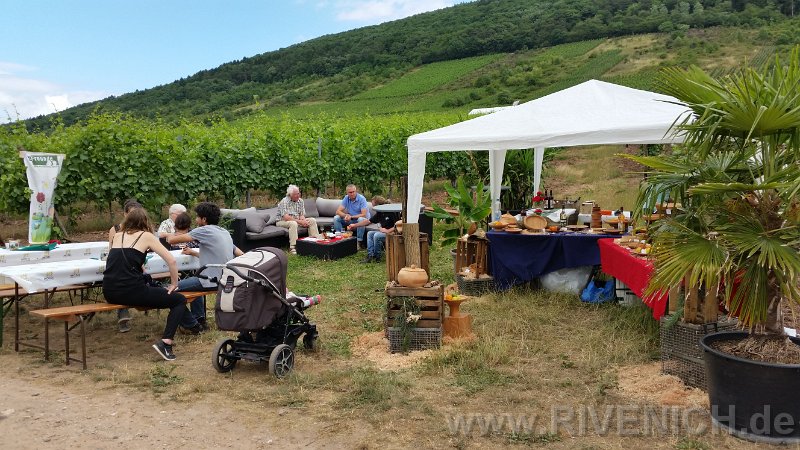 Mittsommerfest 2017 – Bild 29