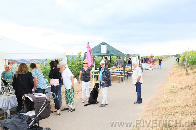 Mittsommerfest 2017 – Bild 84