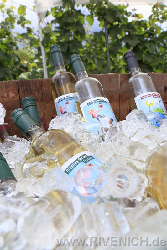 Mittsommerfest 2017 – Bild 96