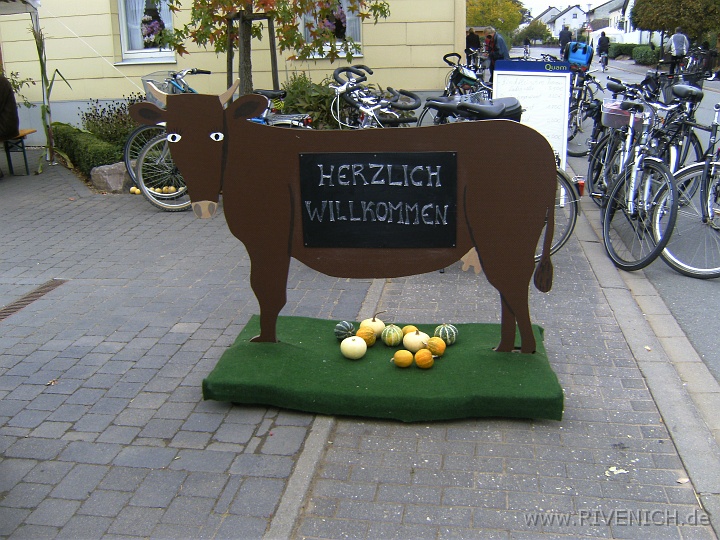 Raderlebnis 09 – Bild 1