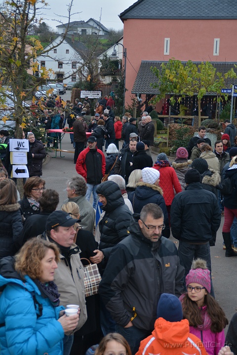 DSC_4467.JPG
